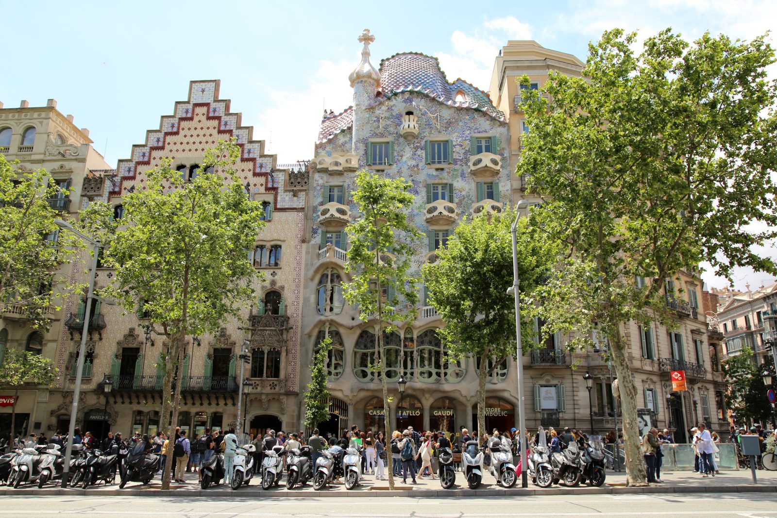 bcn03